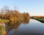 43  Venneperhout zuid